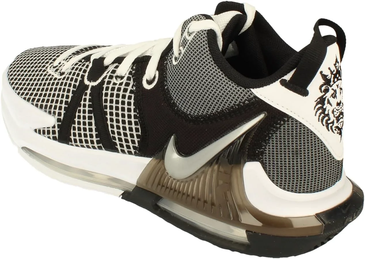 

Мужские кроссовки Nike Nike LeBron Witness VII, металлик серебристый