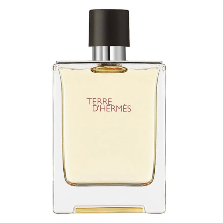 Туалетная вода древесная Hermes Terre D'Hermes, 100 мл