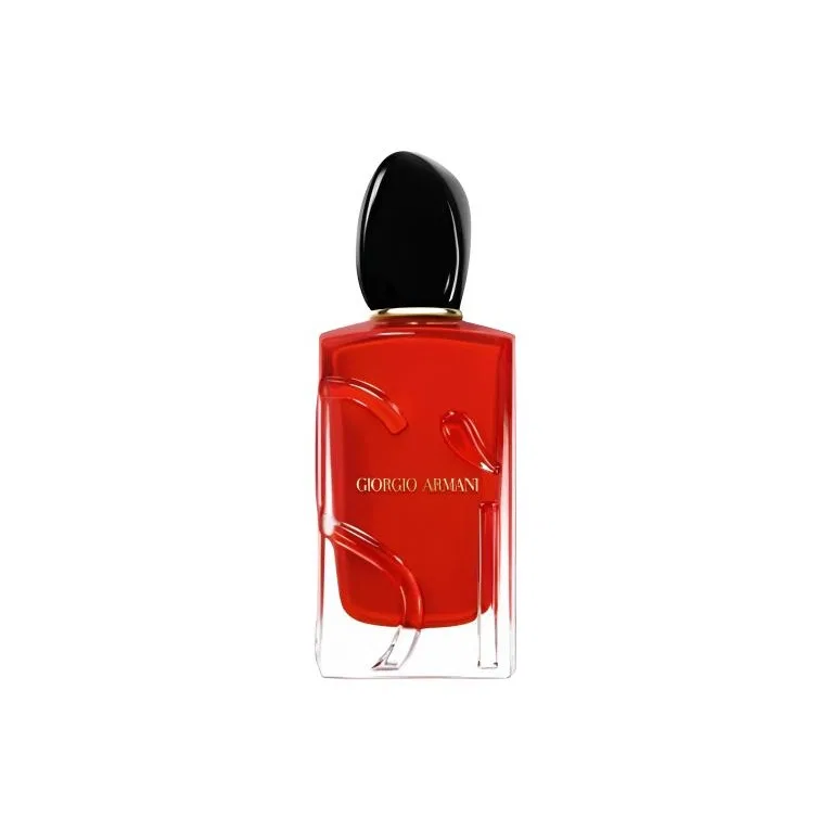 Женские духи Enchanting Classic Edition, 100 мл, GIORGIO ARMANI, Black