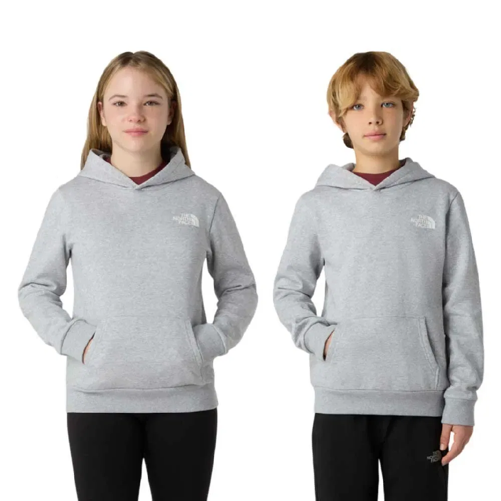 Детская худи для мальчиков Simple Dome Hoodie The north face, Grey