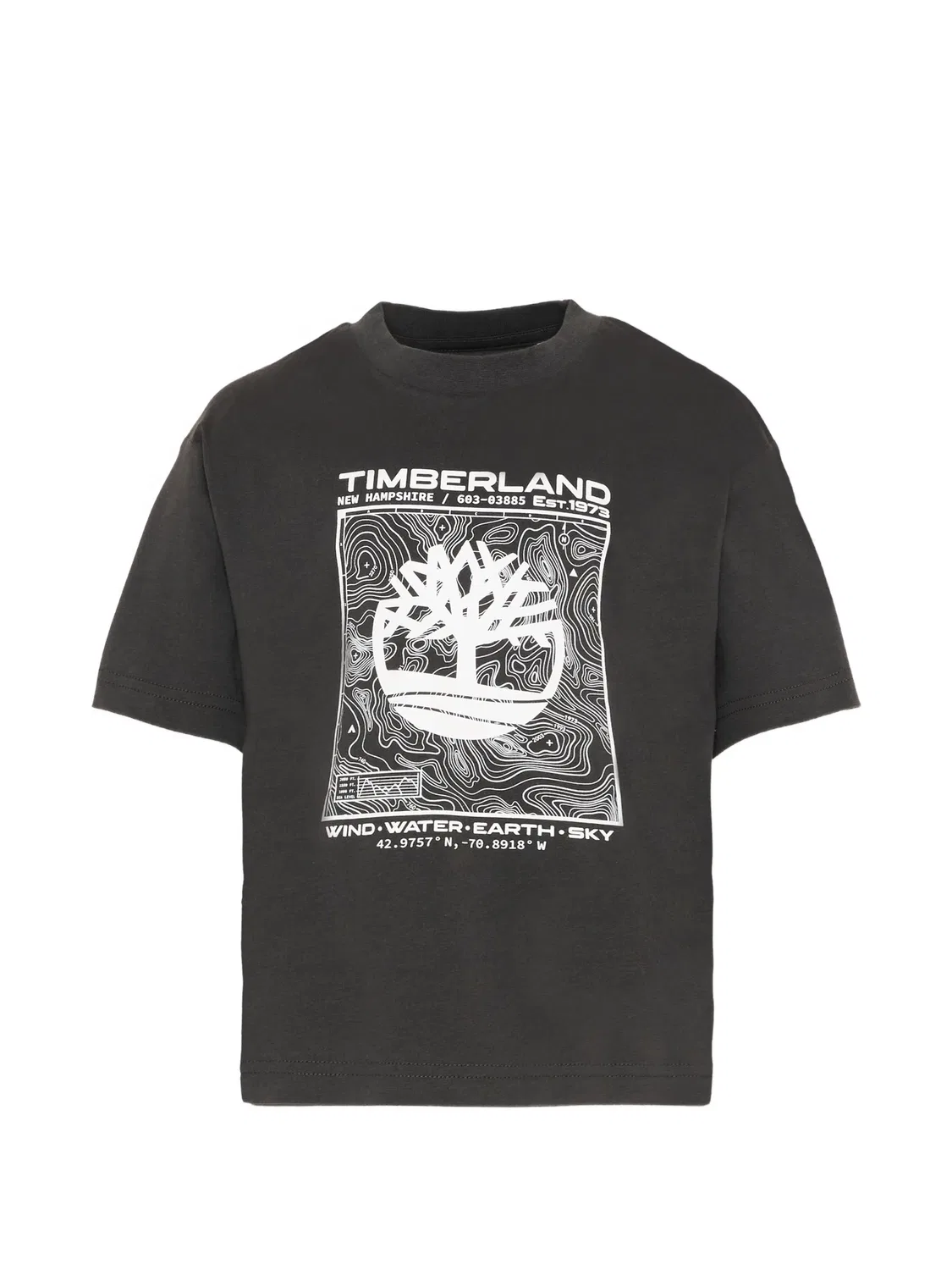 Футболка хлопковая, серая Timberland, серый