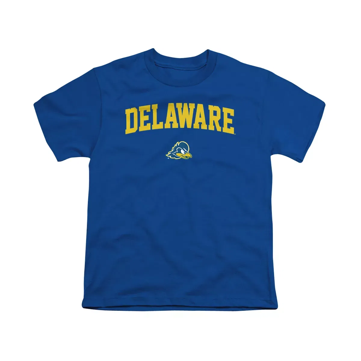 Детская футболка с принтом University of Delaware Arched NCAA, Royal