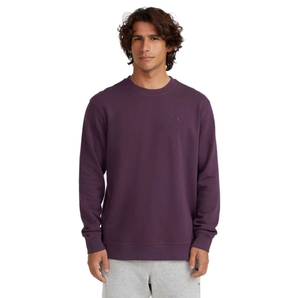 

Толстовка O´neill Small Logo, фиолетовый