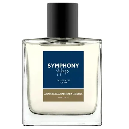 Туалетная вода интенсивная Melody Symphony Intense Men, 100 мл