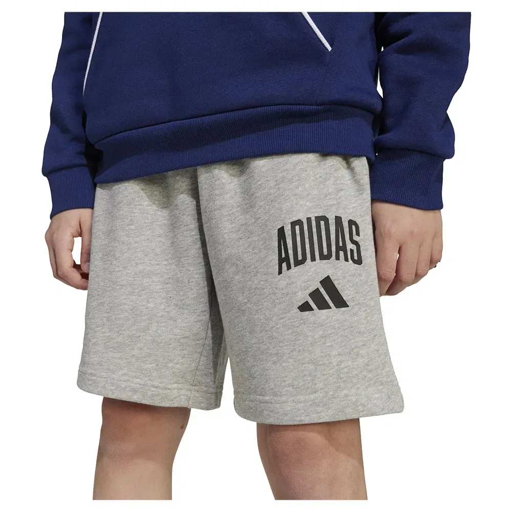 Шорты Adidas Seasonals Essentials Collegiate Typography, серый — фото 4