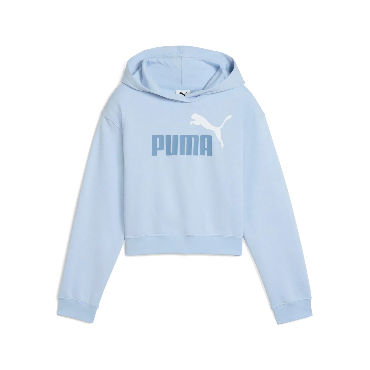 Детское худи с капюшоном Puma Essentials 2, Цвет BLAU