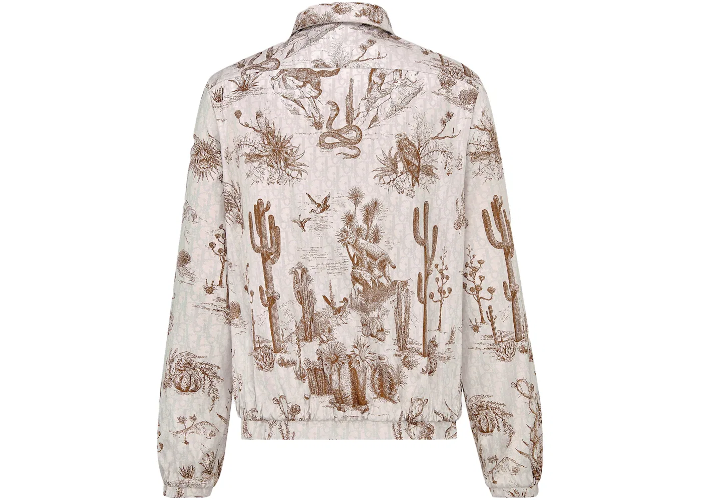 Мужская куртка-блузон с принтом Blouson Dior, Brown/White — фото 2