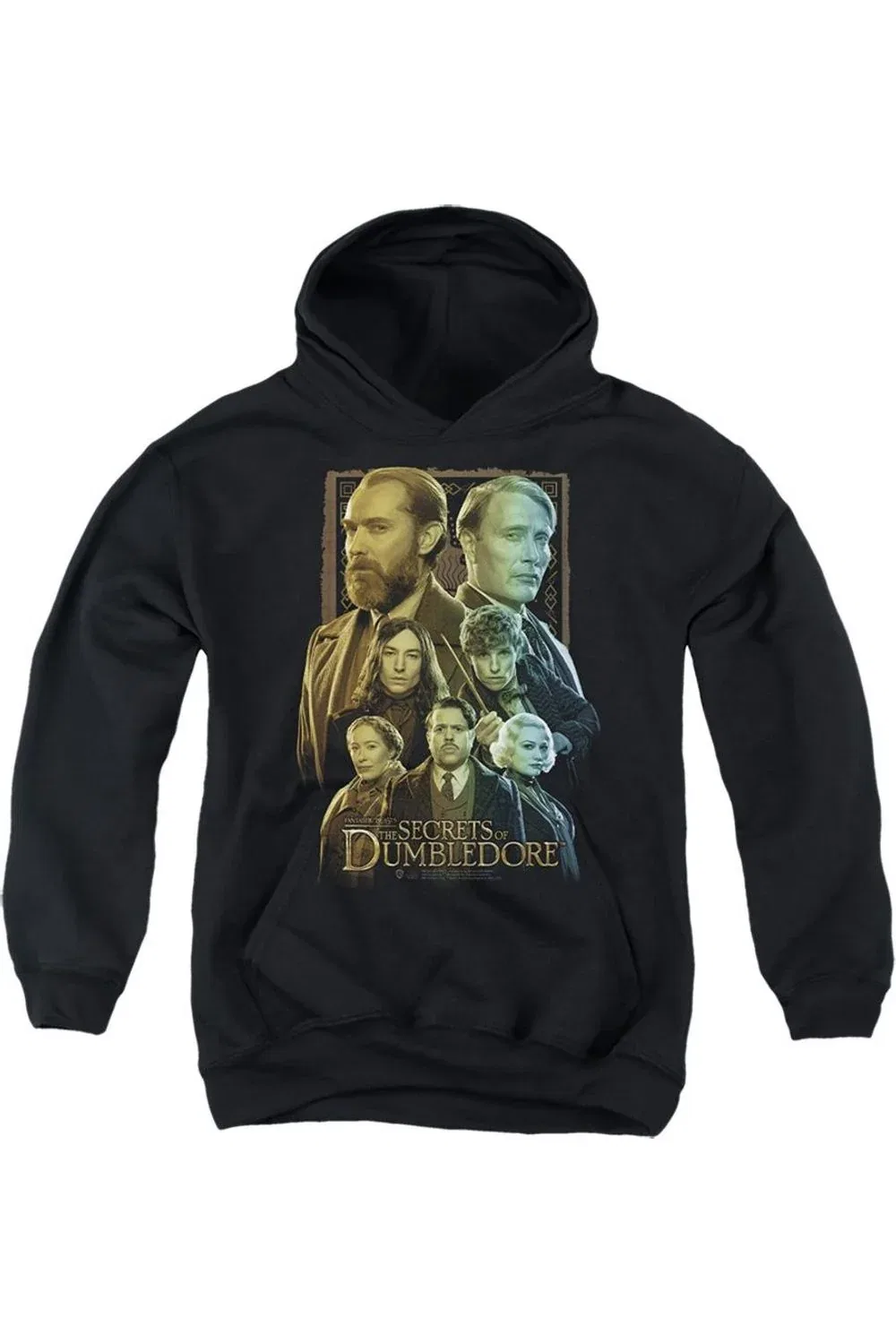 Детское худи с принтом Fantastic Beasts The Secrets Of Dumbledore Character Portraits Gildan, черный