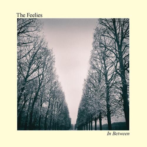 

Виниловая пластинка Feelies - In Between