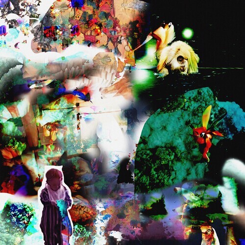 

Виниловая пластинка Acidhead: Distractions