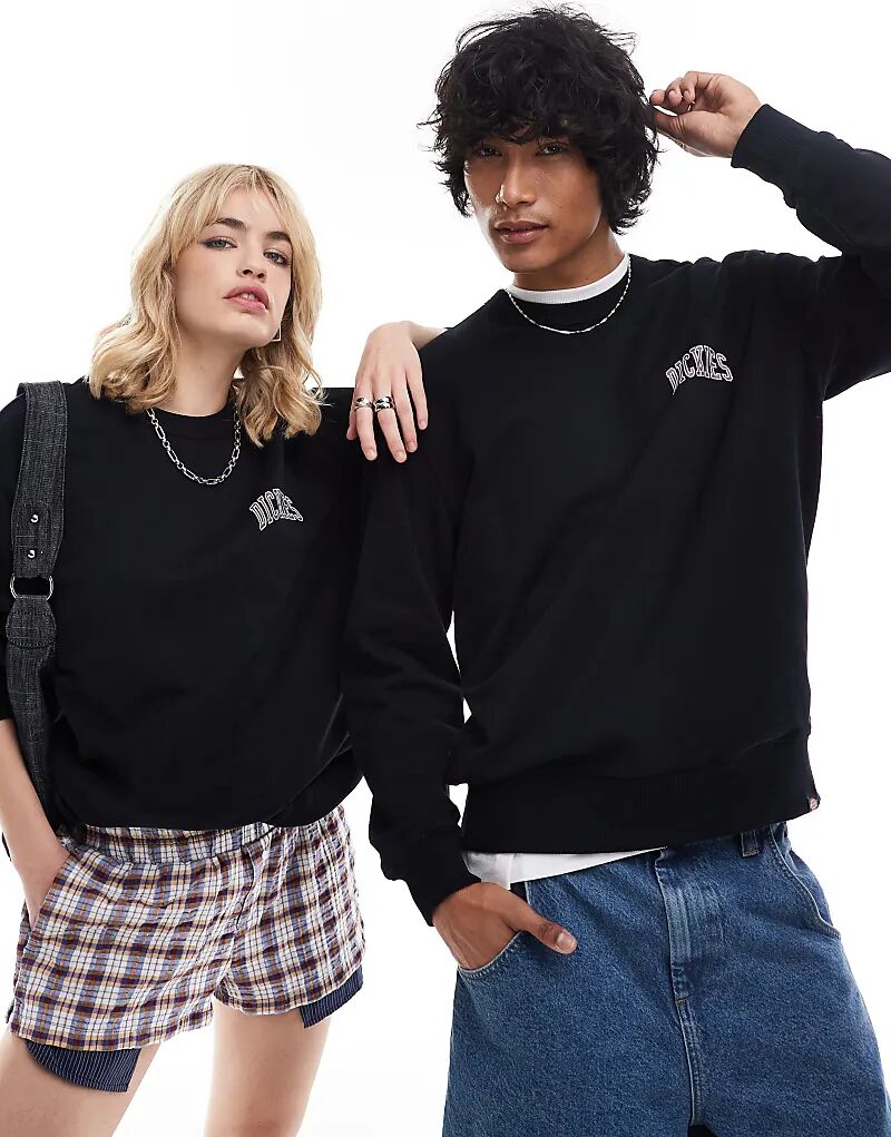 

Толстовка с логотипом aitken на левой груди в черном и сливовом цветах Dickies