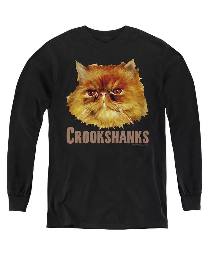 

Молодежные толстовки Crookshanks Color с длинным рукавом Harry Potter, черный