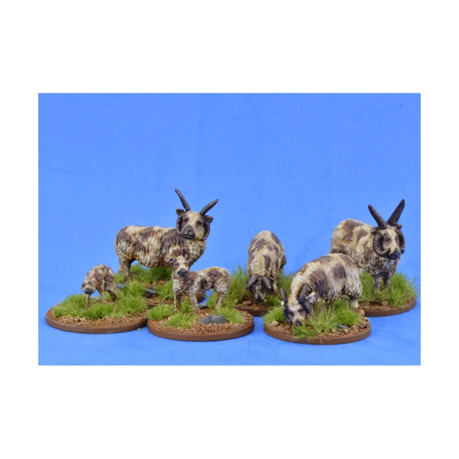 

Овца (Мэнский Лотан), Saga Miniatures - Scenics - Animals (28mm)