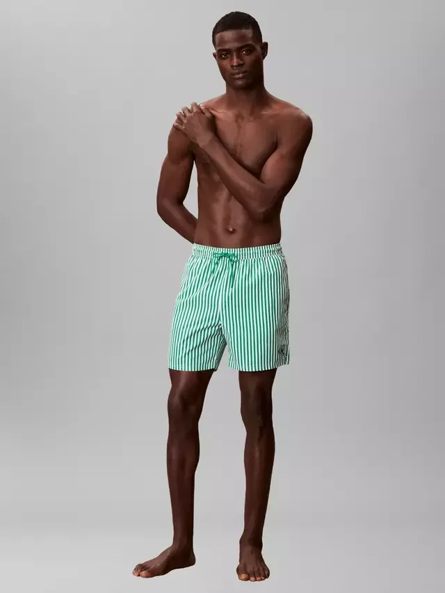 Плавки-шорты Stripe Performance Woven Swim Shorts, зеленые, средней длины Calvin Klein — фото 2