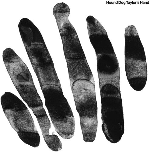 

Виниловая пластинка Hound Dog Taylor's Hand: Hound Dog Taylor's Hand