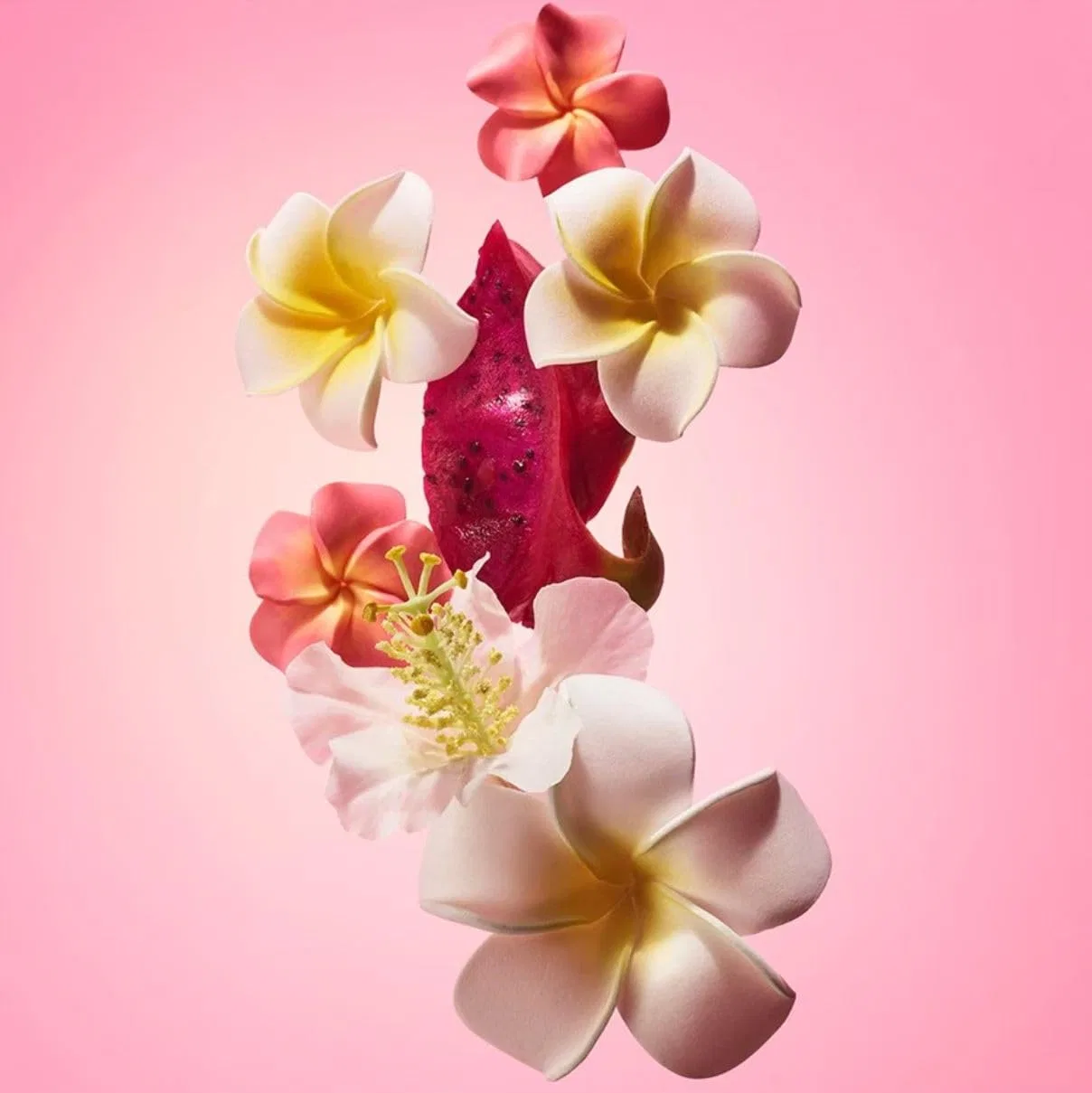 Увлажняющий крем для тела SOLEI JANRO Biggie Bum Beia Flor Collagen Elasti Cream 500 мл Natur Pur Lieferalles E.C. — фото 4