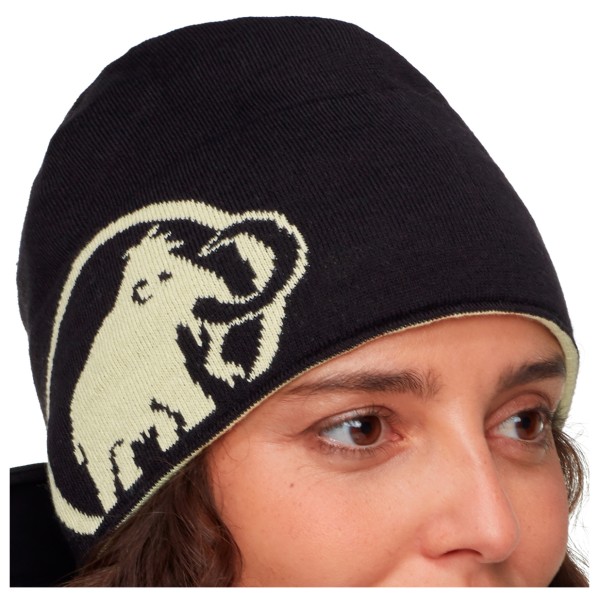 

Шапочка с логотипом Mammut Mammut, мультиколор