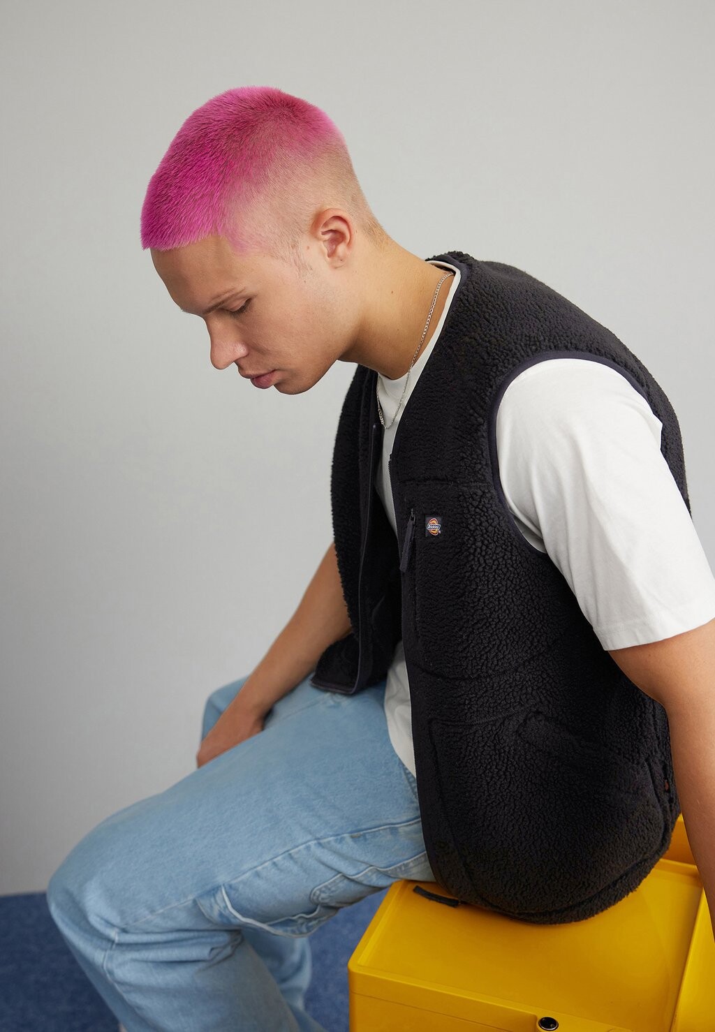 

Жилет Dickies MOUNT HOPE, черный
