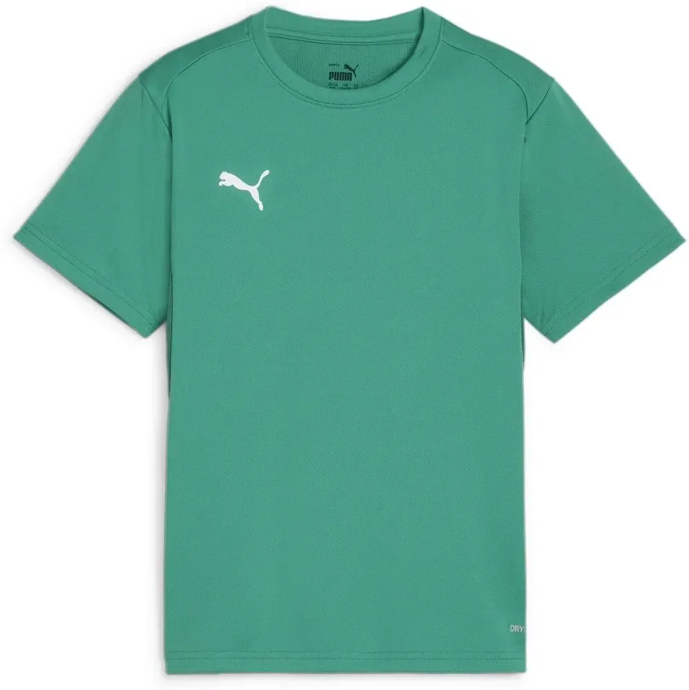 Футболка, TeamGoal Jersey Jr, Puma, зеленый