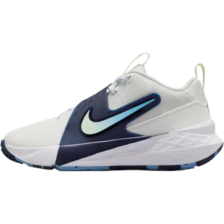 Nike Team Hustle D 12 Low top детские баскетбольные кроссовки White Unisex
