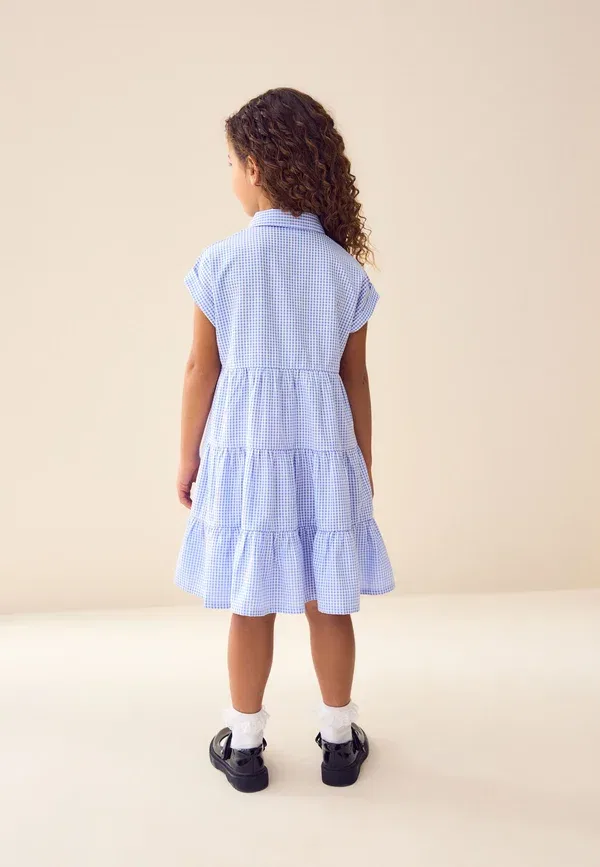 Платье-рубашка Regular fit Next, rich school gingham tiered collar shirt dress, синий — фото 4