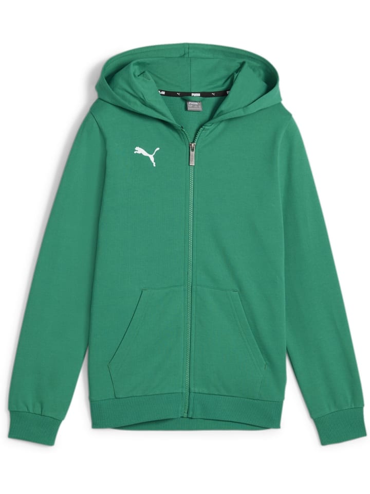 

Толстовка с капюшоном TeamGoal CasuaLongsleeve Hooded Jacket Jr зеленого цвета Puma