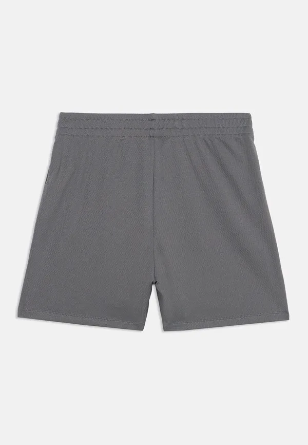 Подростковые спортивные шорты унисекс из полиэстера The North Face, Smoked Pearl — фото 2