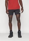 

Спортивные шорты HAKUUN SHORT The North Face, черный