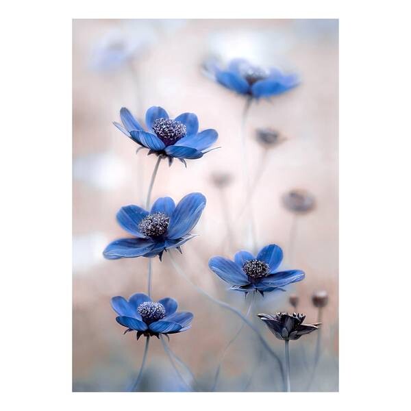 

Фреска A.S. Création Blue Cosmos, синий/белый