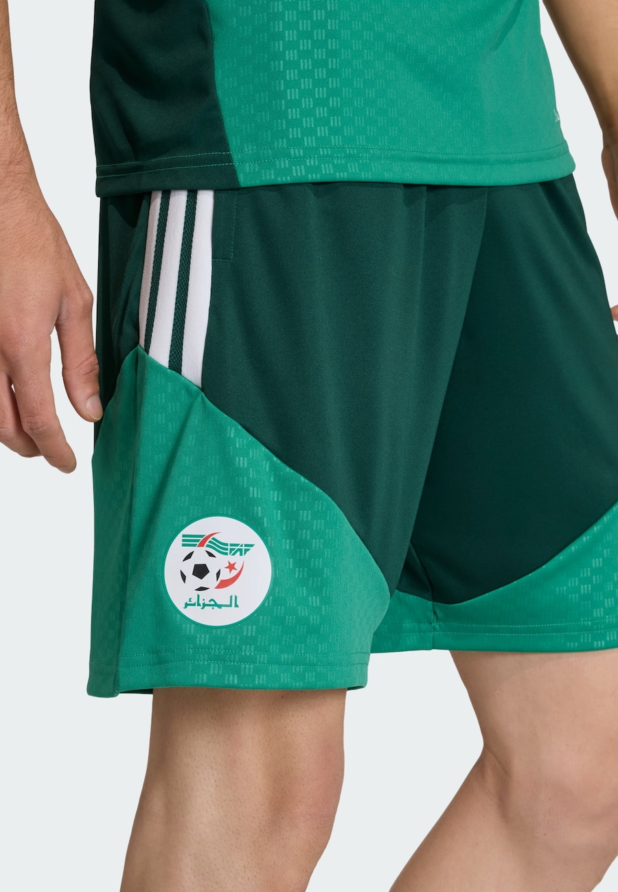 Обычные спортивные штаны ADIDAS PERFORMANCE Algerien 26, зеленый/темно-зеленый — фото 4
