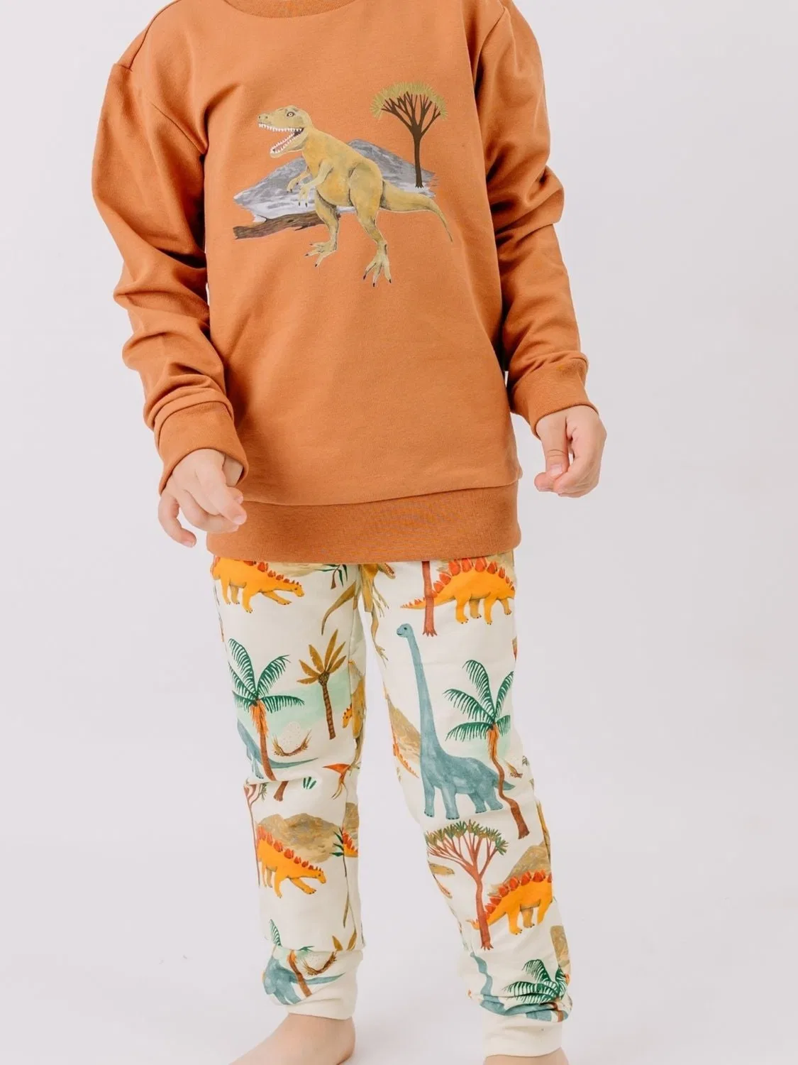 Обычные брюки 'Walkiddy - Dinasaur World Jogger' Walkiddy, Mixed Colors — фото 2