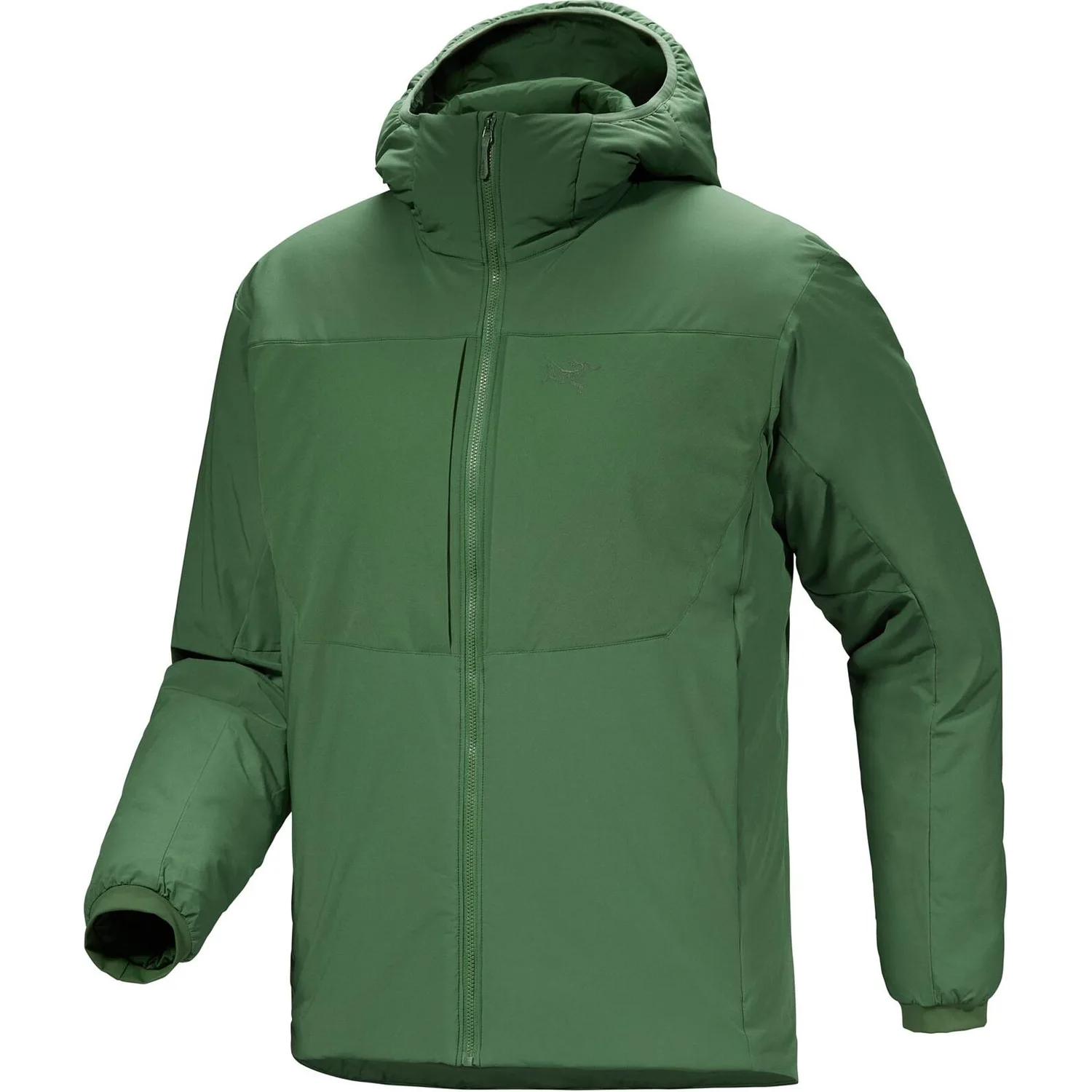 Куртка PROTON HEAVEYWEIGHT с капюшоном для мужчин Arcteryx, Eden