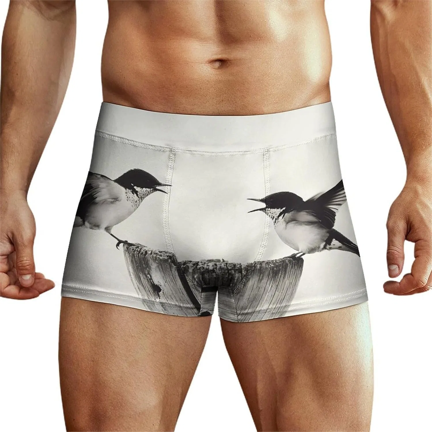 Боксеры классические Angry Swallows, Style