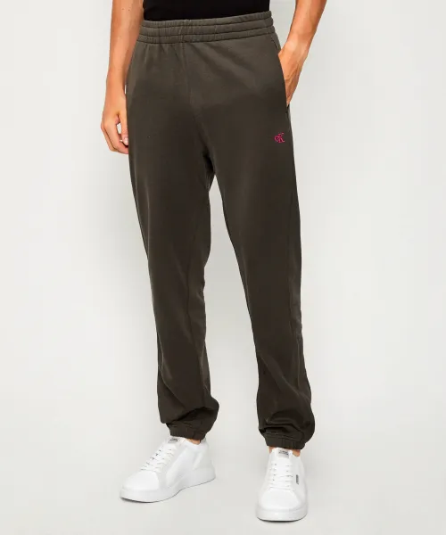 

Спортивные штаны Regular fit Calvin Klein Jeans, серый