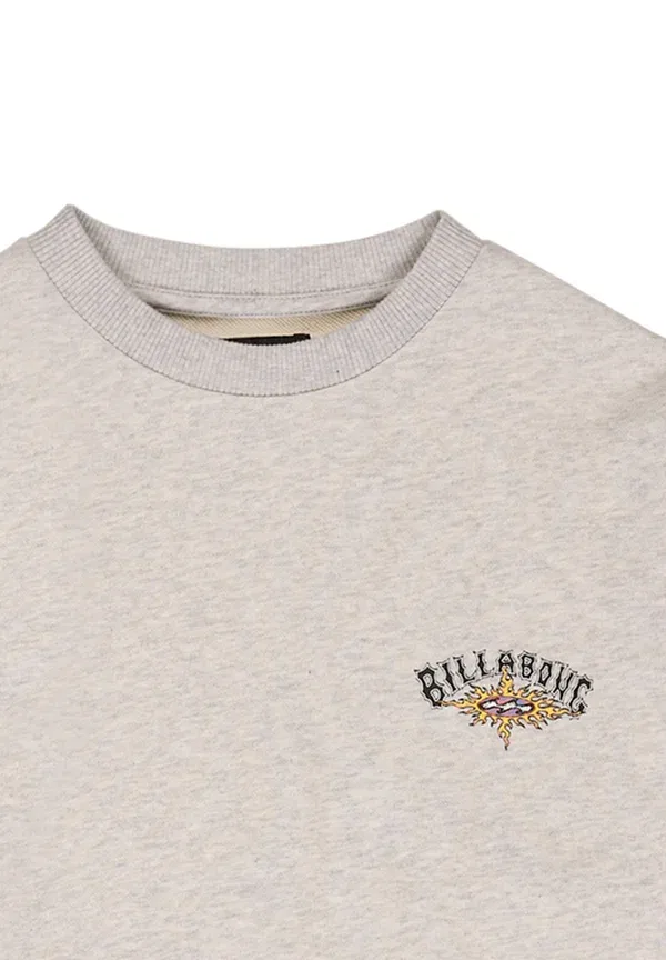 Толстовка Billabong Foundation (wbl), светло-серый — фото 3