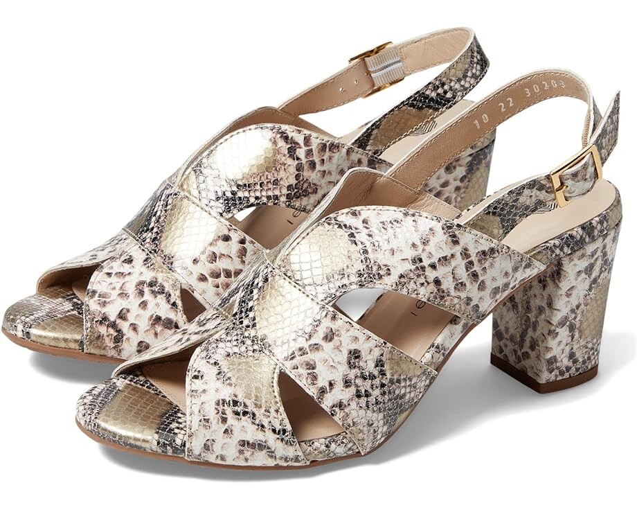 

Туфли Eric Michael Lark, цвет Snake Print