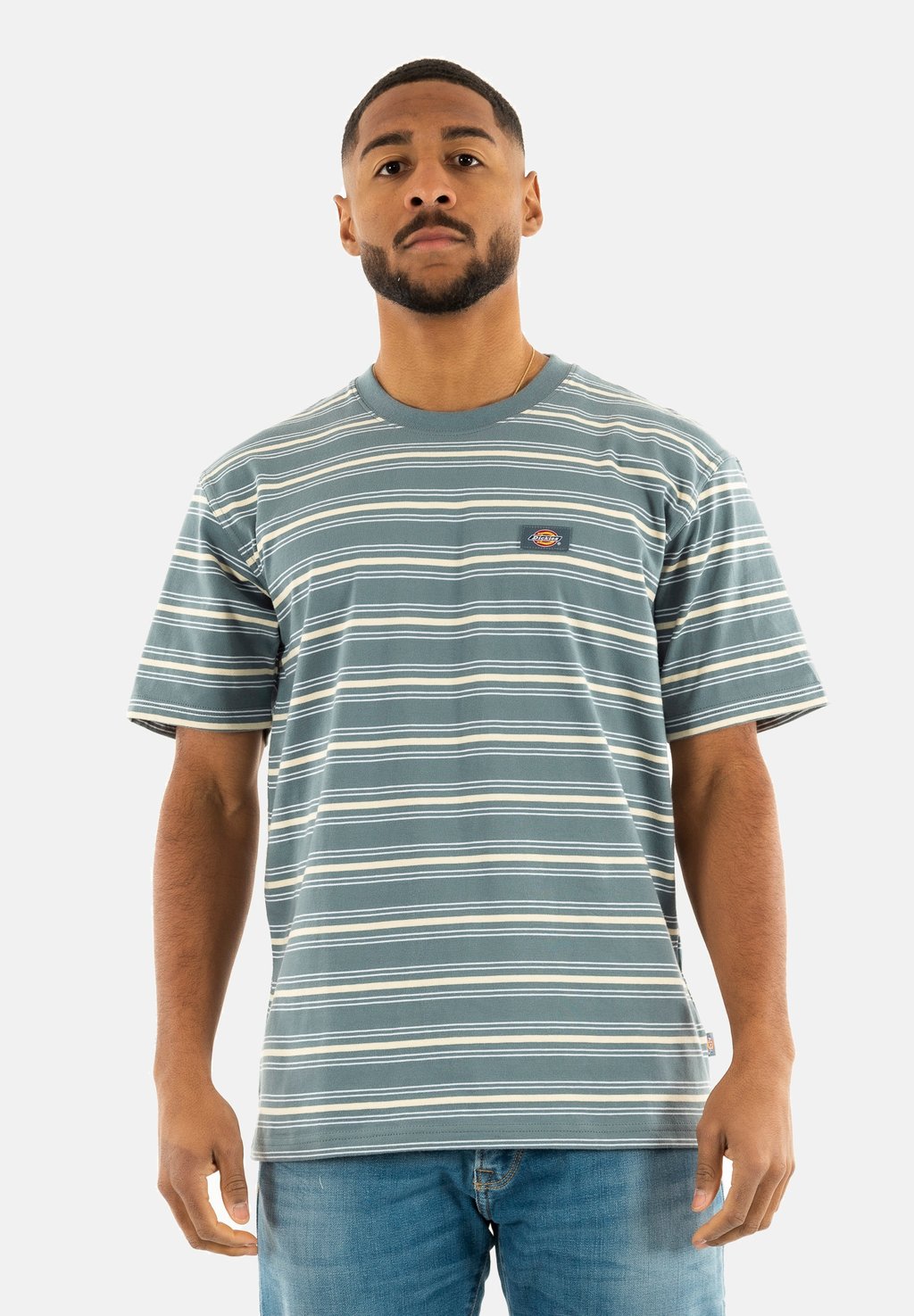 

Футболка с принтом LEWISTOWN STRIPE Dickies, темно-серый