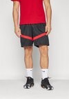 

Спортивные шорты ICON 8IN SHORT Nike, черный