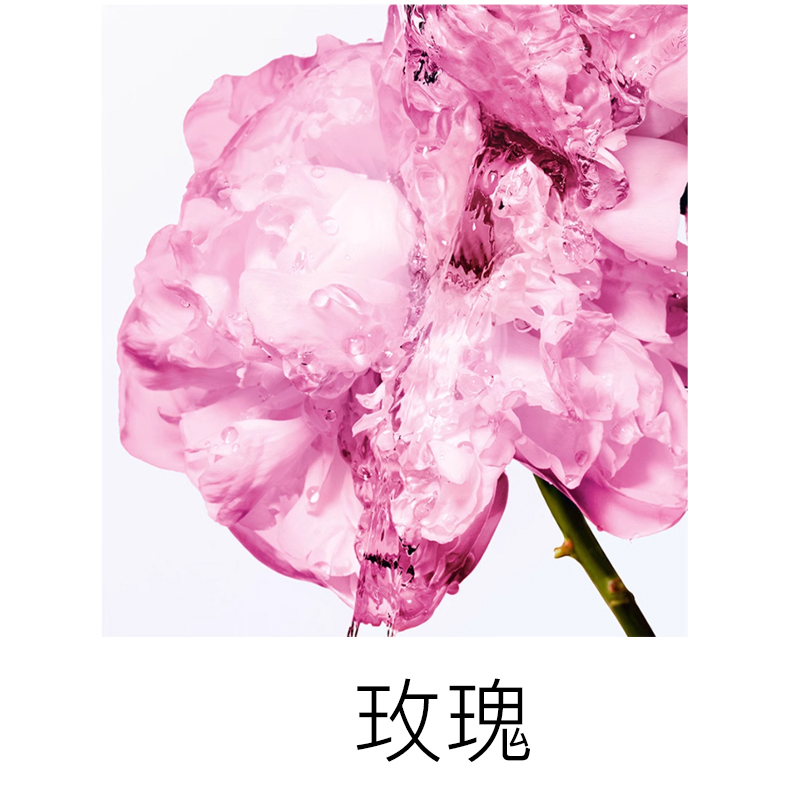 DIOR Ограниченный новогодний набор Miss Rose Fragrance Box уход увлажняющий подтягивающий 175мл+175мл — фото 3