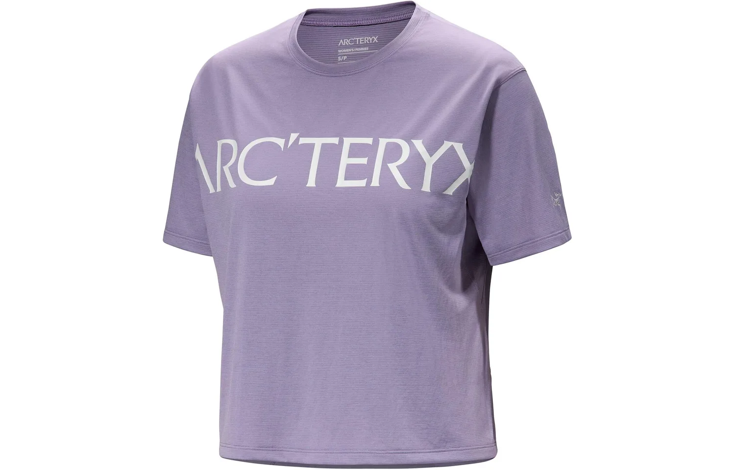Футболка TAEMA Regular Arcteryx, Rock Frost Purple Gray/Velocity Heather