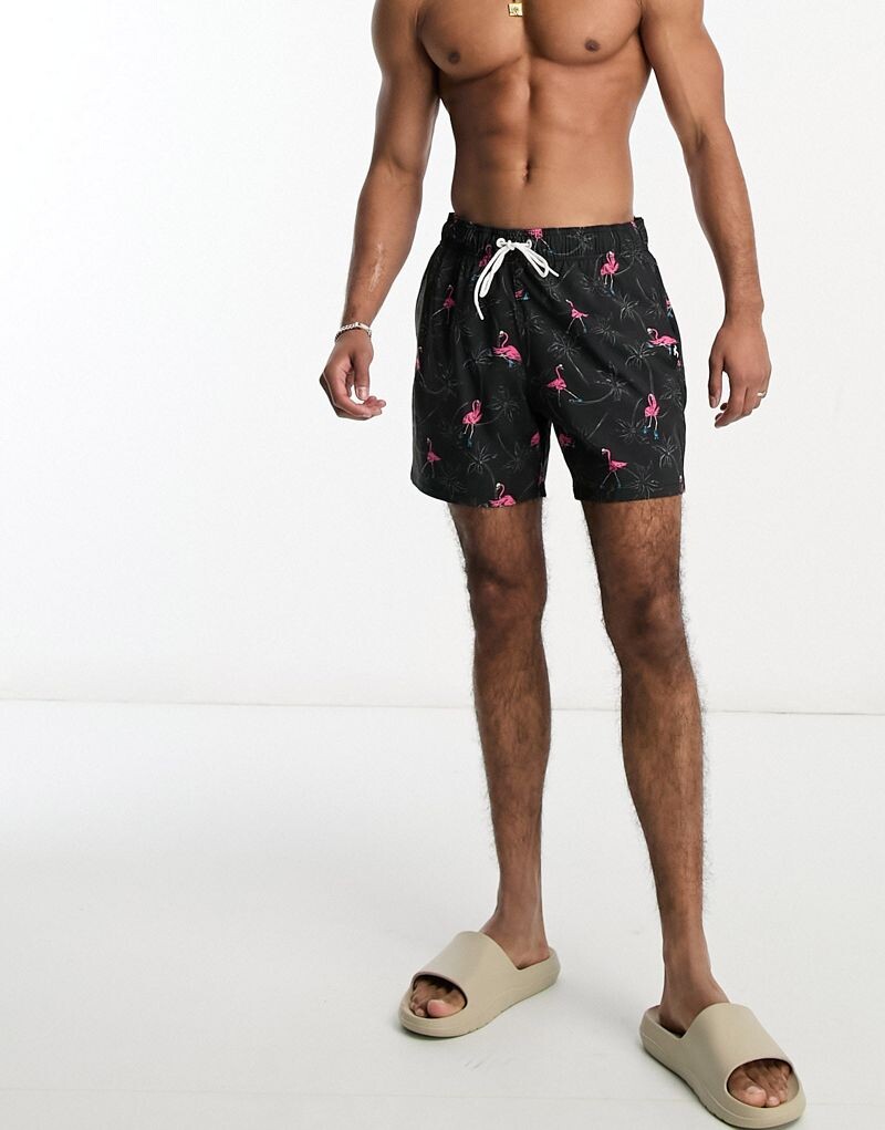 

Черные шорты для плавания Hollister 5 дюймов с принтом фламинго