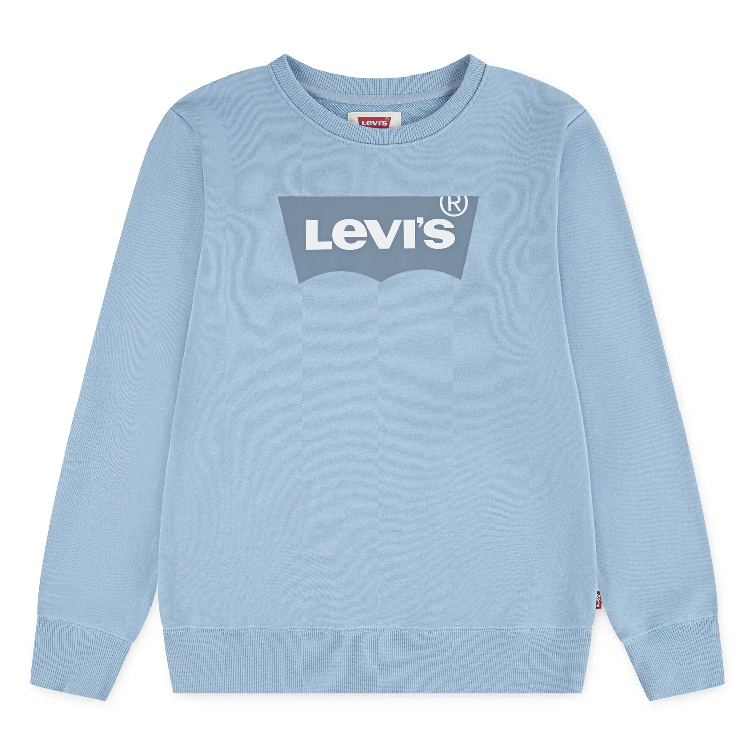 Толстовка стандартного кроя Levi'S Kids, Dusty Blue/Light Blue