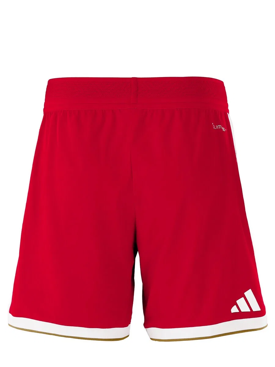 Спортивные шорты ADIDAS PERFORMANCE свободного кроя, красные — фото 2