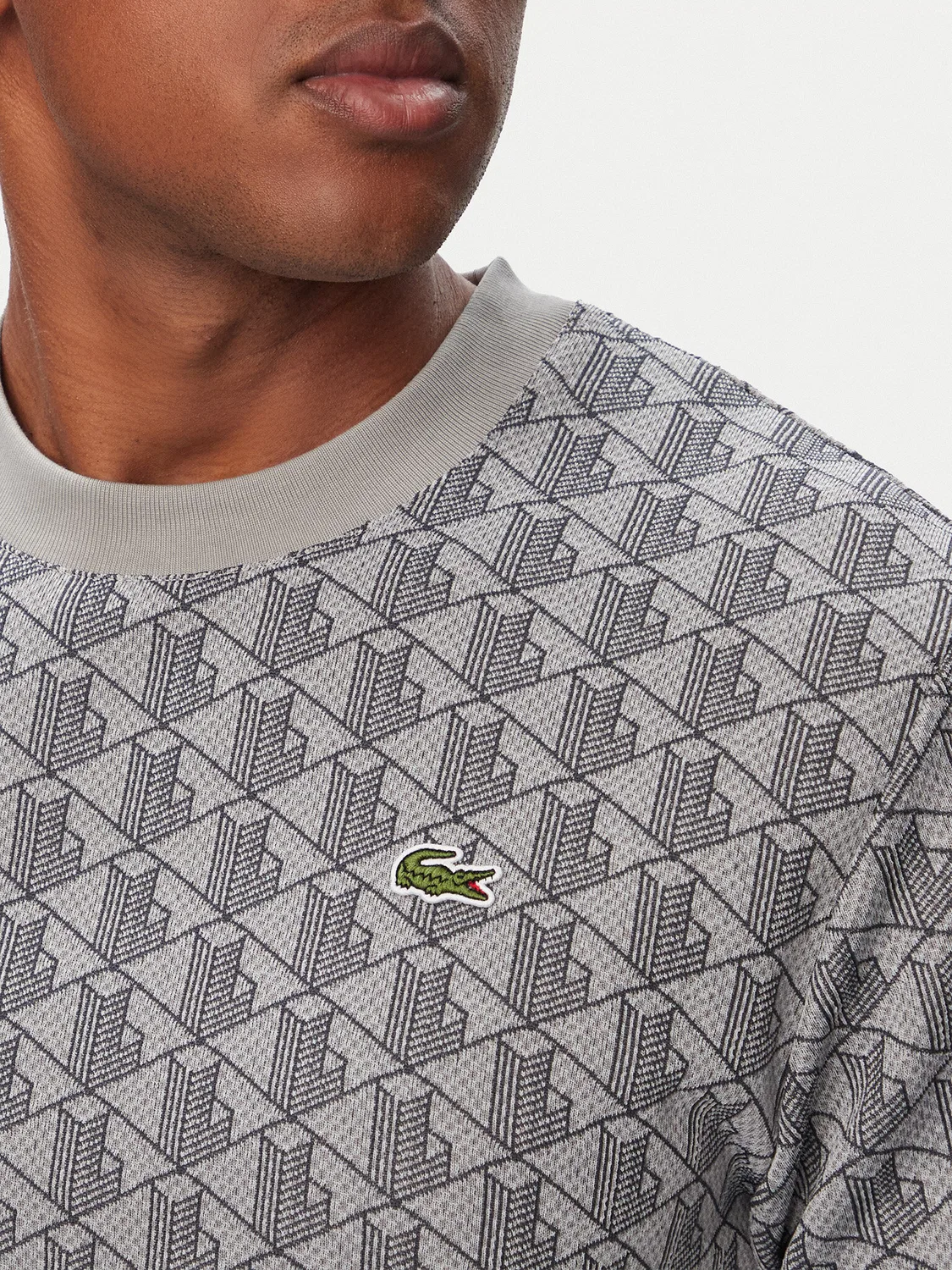 Мужская футболка стандартного кроя Lacoste, серый — фото 4