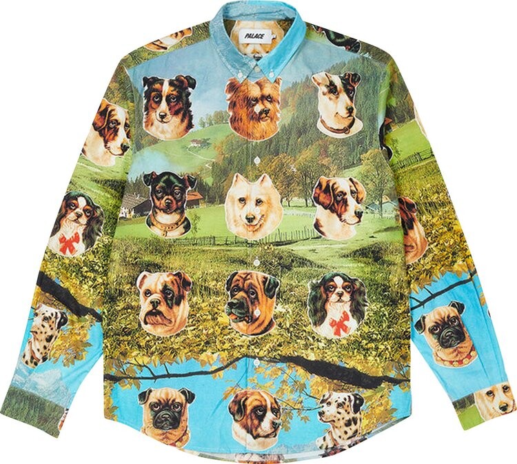 

Рубашка Palace Payne Shirt 'Multicolor', разноцветный