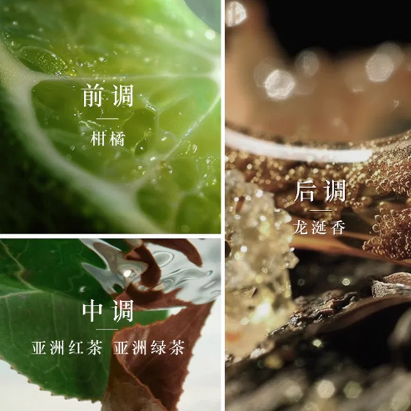 Парфюмированная вода ARMANI Jade Dragon Tea 100 мл, Giorgio Armani, Черный — фото 3