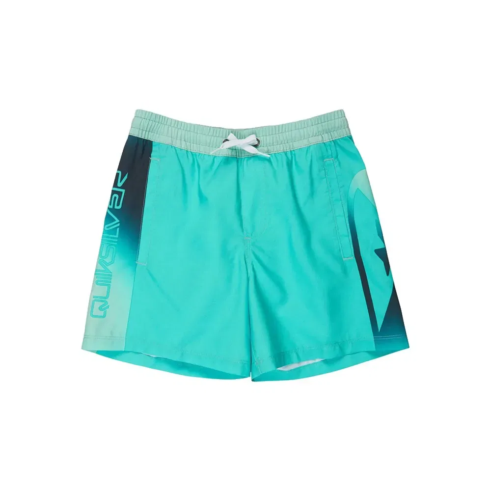 Плавки Everyday Holmes Volley 16'' Quiksilver, зеленый