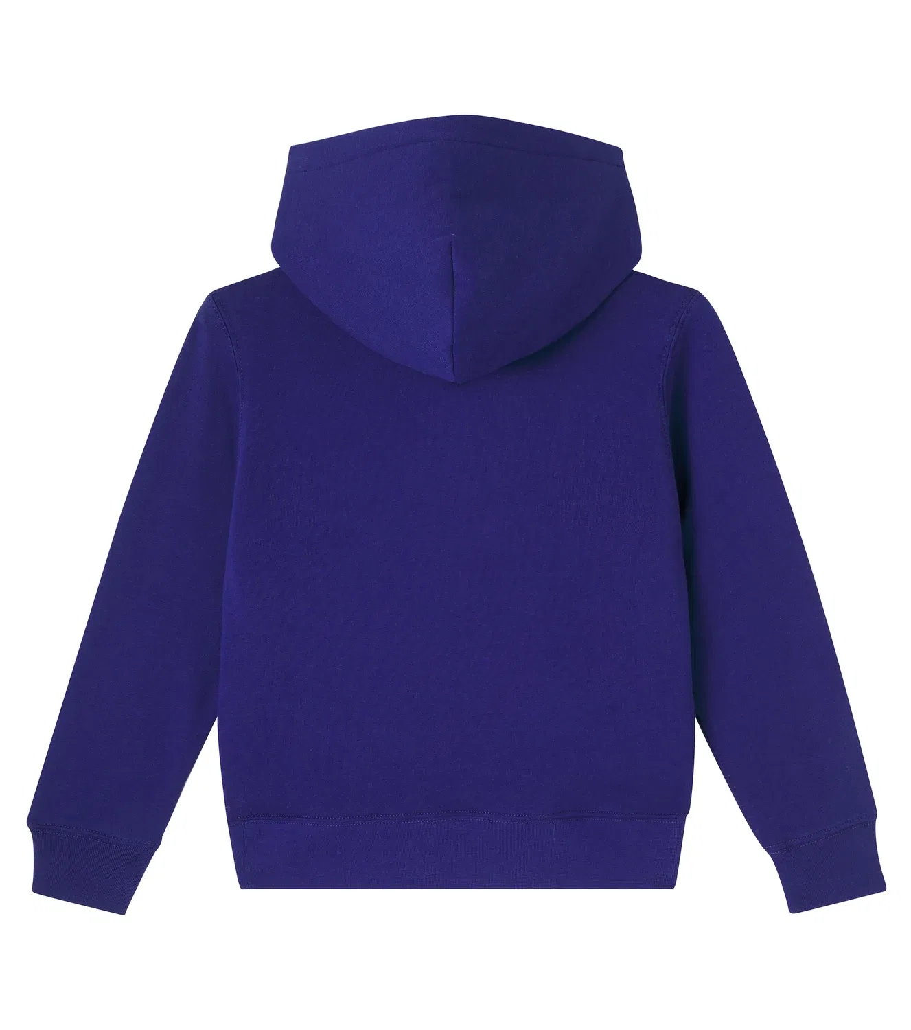 Худи с принтом Hol25 Bear Fall Royale Polo Ralph Lauren Kids, синий — фото 4