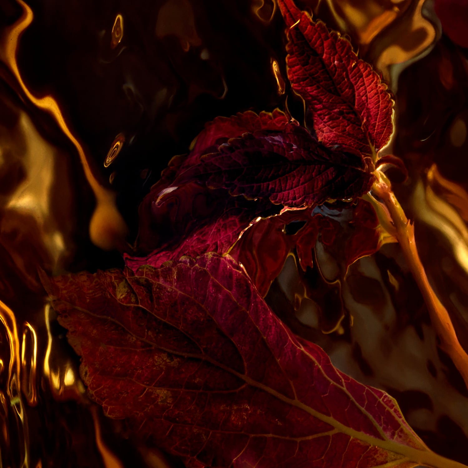Парфюмерная вода Guerlain Absolus Allegoria Patchouli Ardent — фото 3