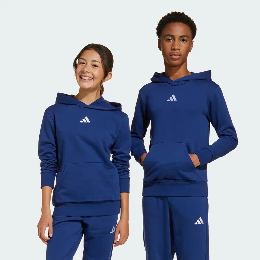 Худи детское с длинным рукавом Sportswear JY0612 Essentials Hoodie Kids adidas, Сине-белый